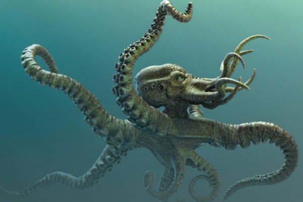 Актуальная ссылка на кракен kraken014 com