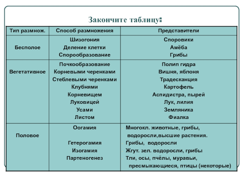 Кракен зеркало onion